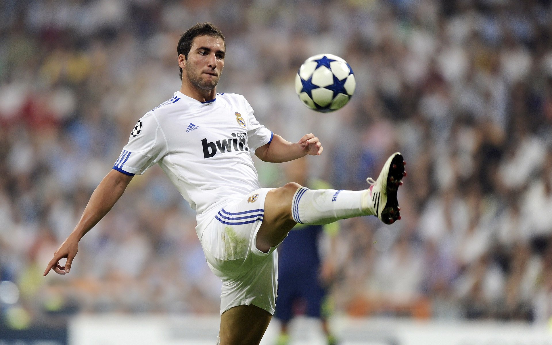 法网轻取ATP总决赛，穆雷惊艳四座的背后